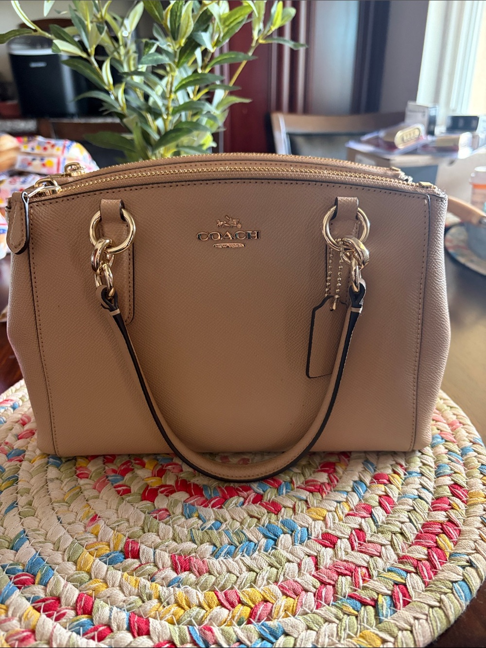 Coach small carryall